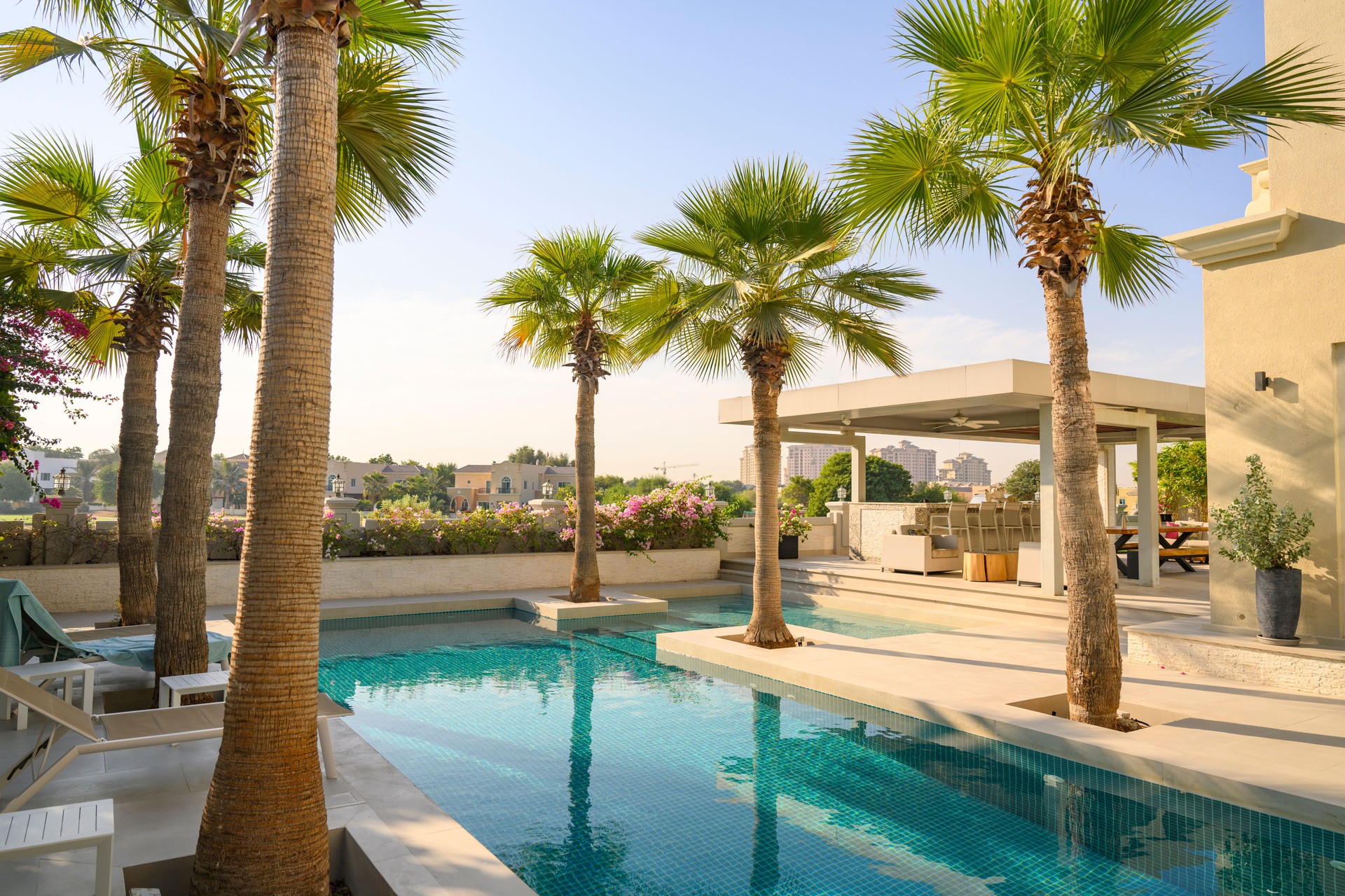 Luxurious UAE residence with swimming pool and palm trees
